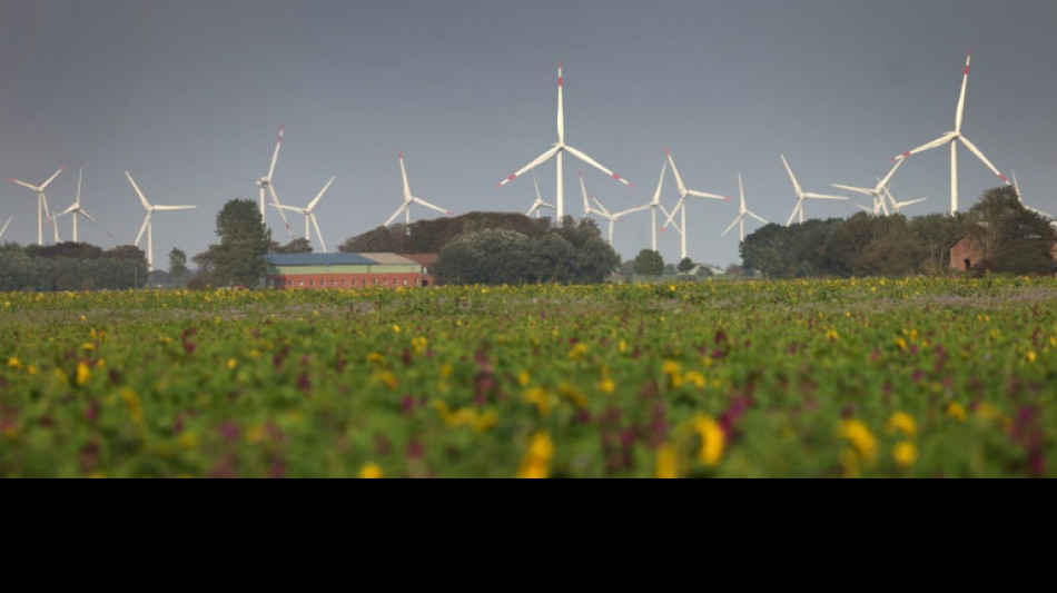 Umfrage: Klimaschutzfragen für Wähler in Deutschland tendenziell weniger bedeutend