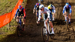 Van der Poel, de nuevo imperial a una semana de los Mundiales de ciclocrós