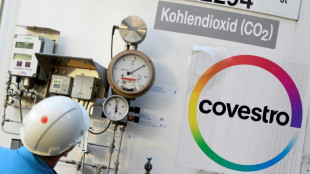 UAE oil giant ADNOC swoops on German chemicals firm Covestro