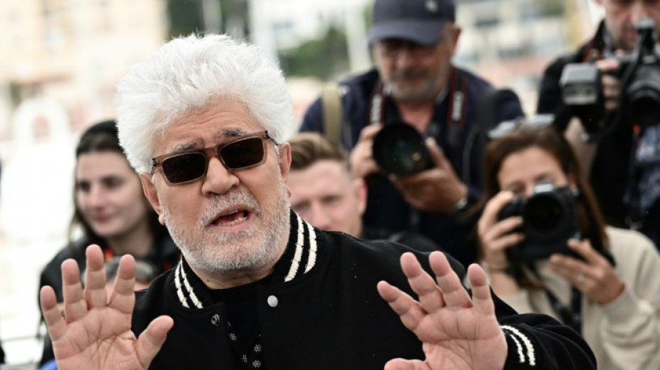 Pedro Almodovar to be honoured at San Sebastian festival