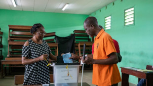 Gabon early results show voters back new constitution