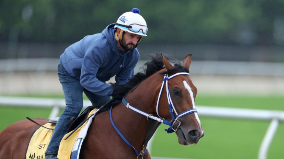 Mystik Dan goes for Triple Crown 2nd leg in Preakness