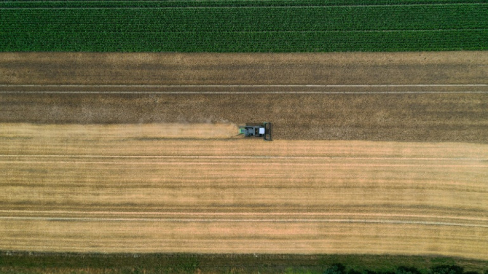 Bauernverband: Interesse der Landwirte am Ökolandbau erreicht neuen Höchstwert