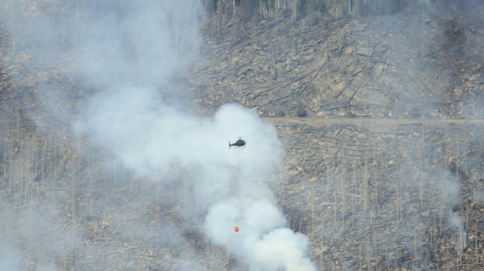 Großfeuer am Brocken: 250 Brandbekämpfer und Flugzeuge im Einsatz