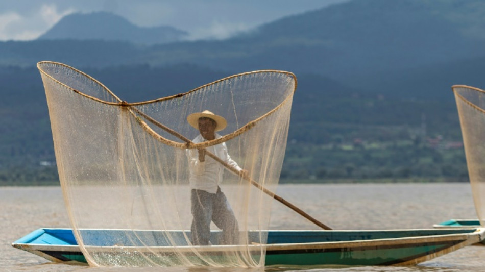 Mexique: opération sauvetage d'un lac au pays des bancs de poissons morts