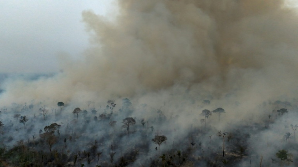 Climat: diminuez les émissions ou l'objectif de 1,5°C est "mort", met en garde l'ONU