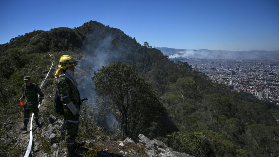 Centro da Colômbia sob 'calamidade pública' devido a incêndios florestais