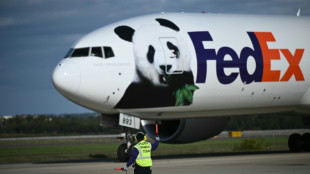 Two giant pandas arrive in US from China aboard 'Panda Express'